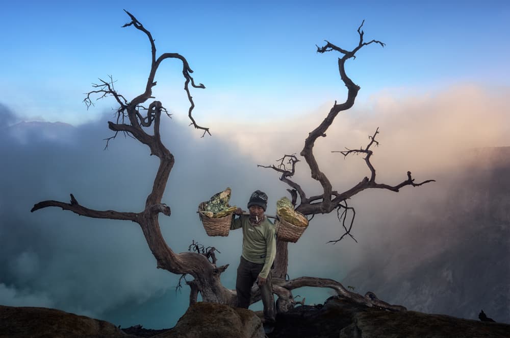 Sulfur carrier by Ricardo Gayan — canvas wall art