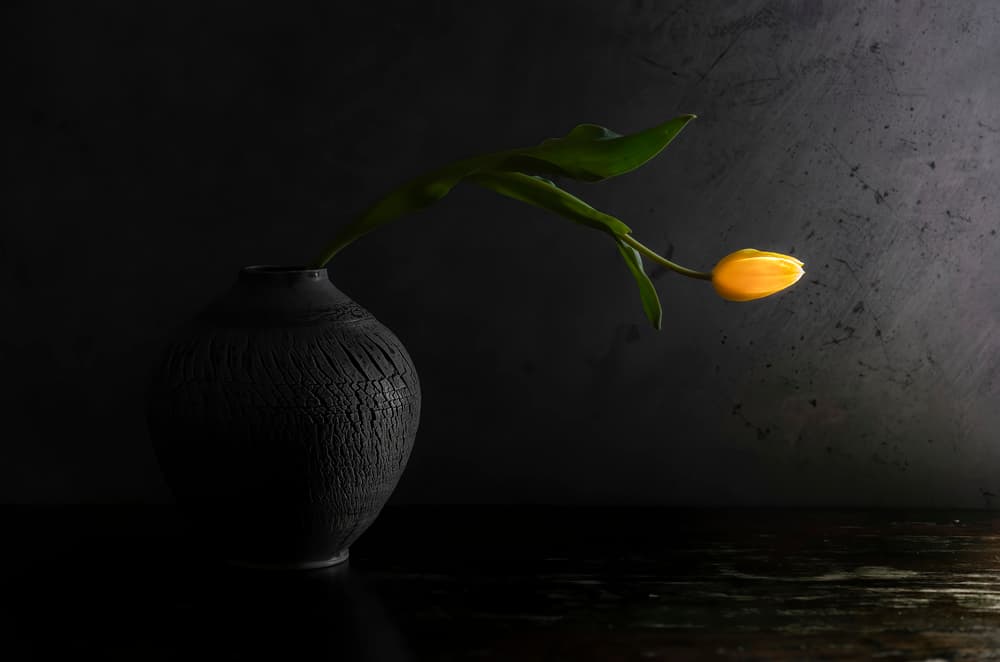 Yellow Tulip Still Life by Judy Tseng — canvas wall art