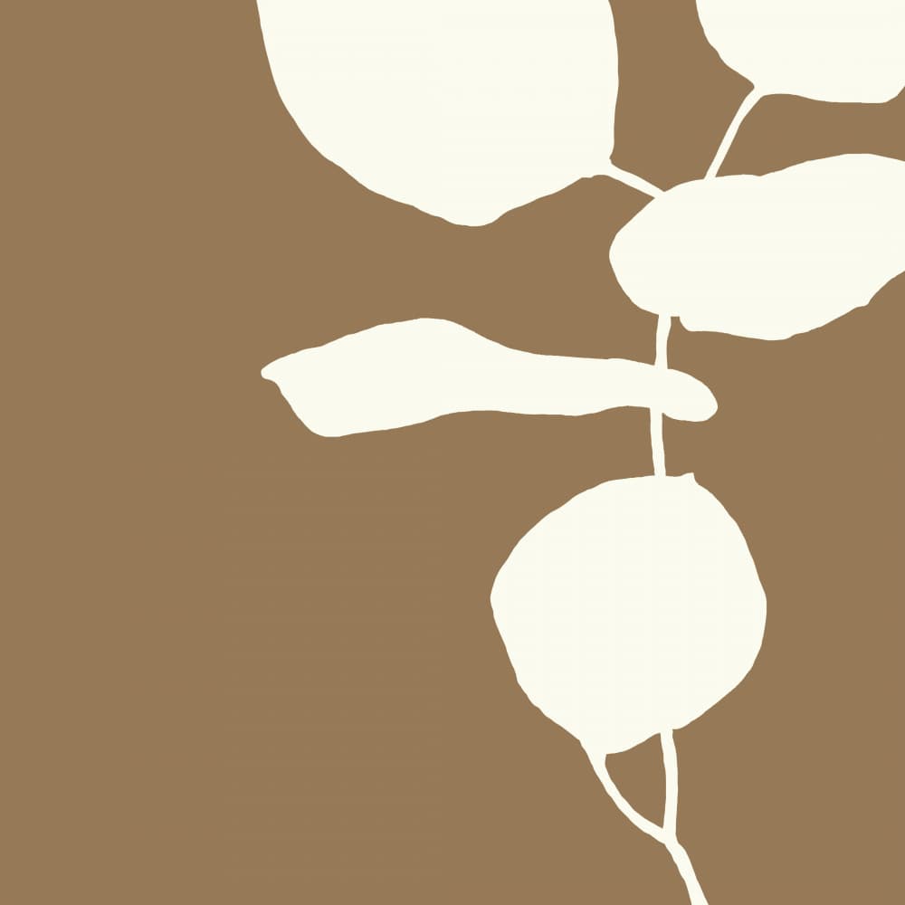 Minimalist Botanical Forms by Andrea Reichhart — canvas wall art