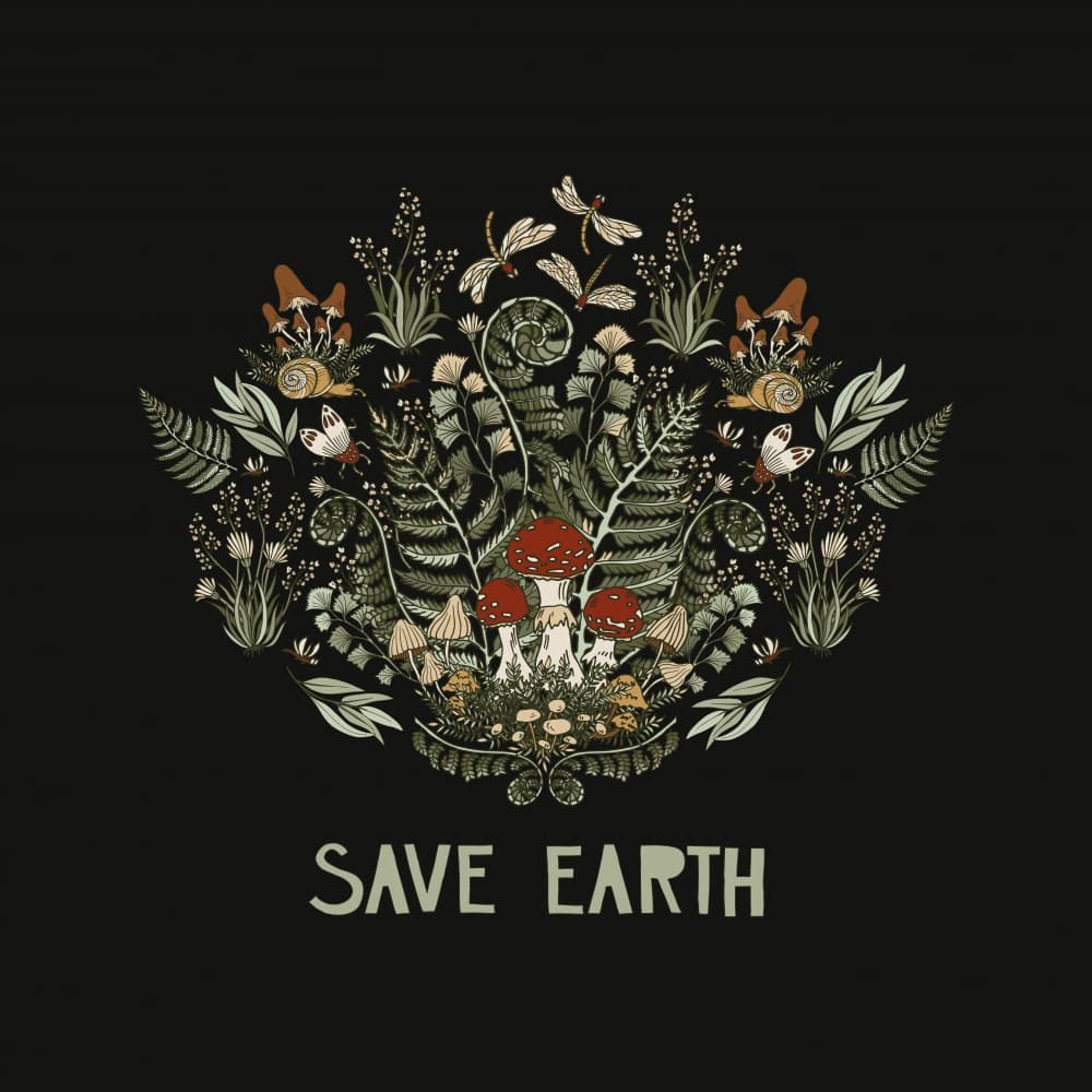 Save Earth Mushroom Ferns by Olena Kovalova — canvas wall art