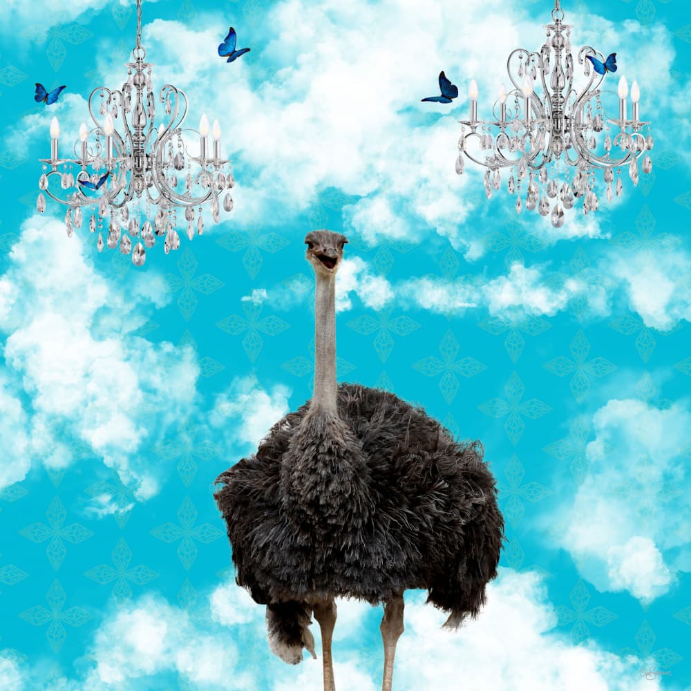 Whimsical Ostrich Sky by Sue Skellern — canvas wall art