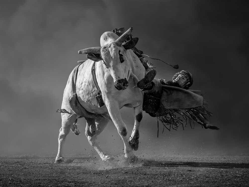 Bull Rider's Fall by Frank Ma — canvas wall art