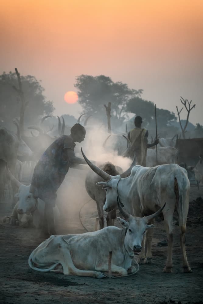 Dinka Cattle Camp Sunset by Trevor Cole — canvas wall art