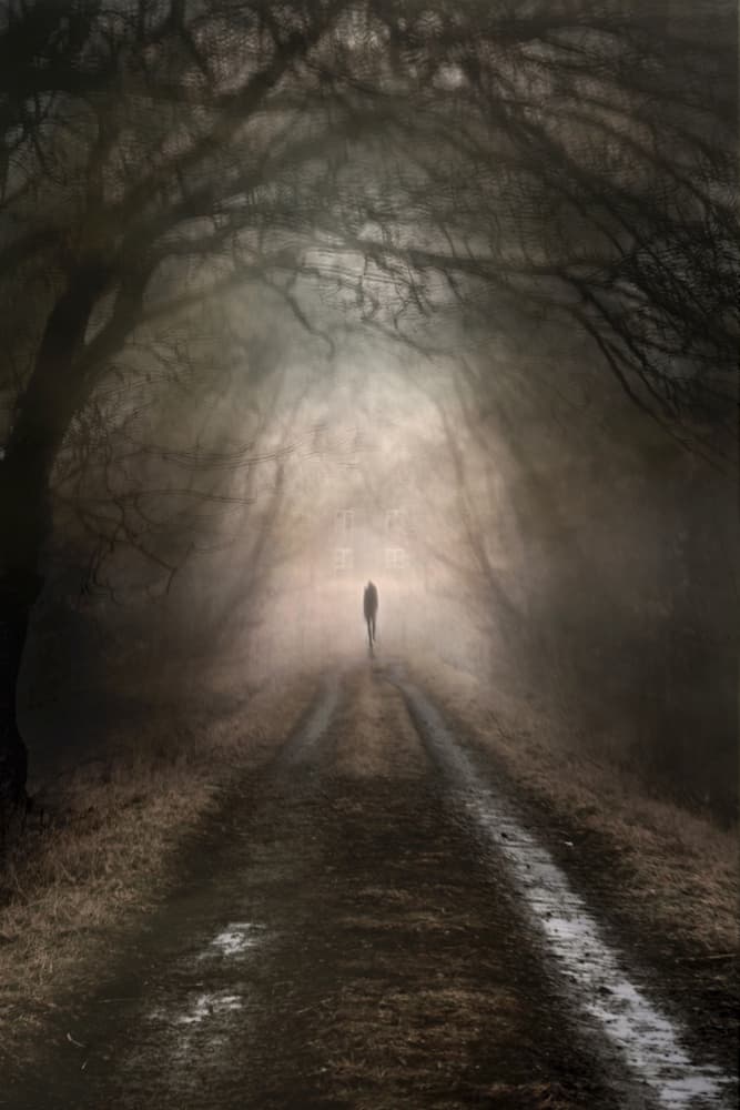 Lone Figure Misty Path by Christina Sillèn — canvas wall art