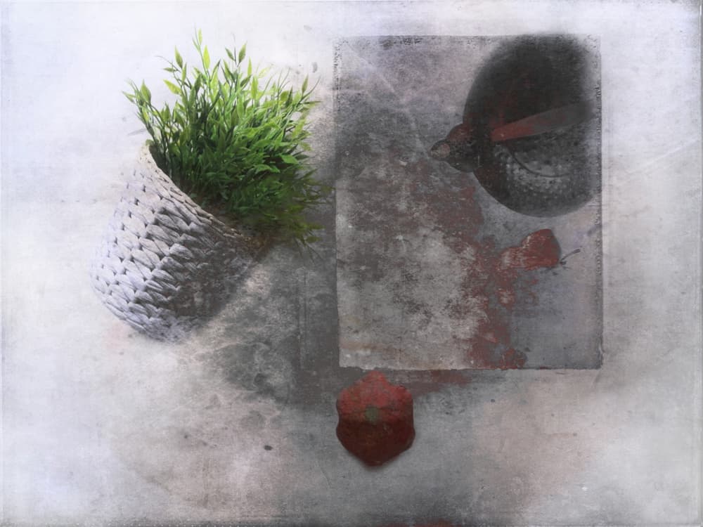 Abstract Green Still Life by Delphine Devos — canvas wall art