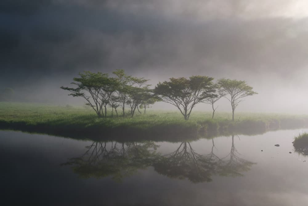 Misty Morning Reflections by K_Tsunoda — canvas wall art