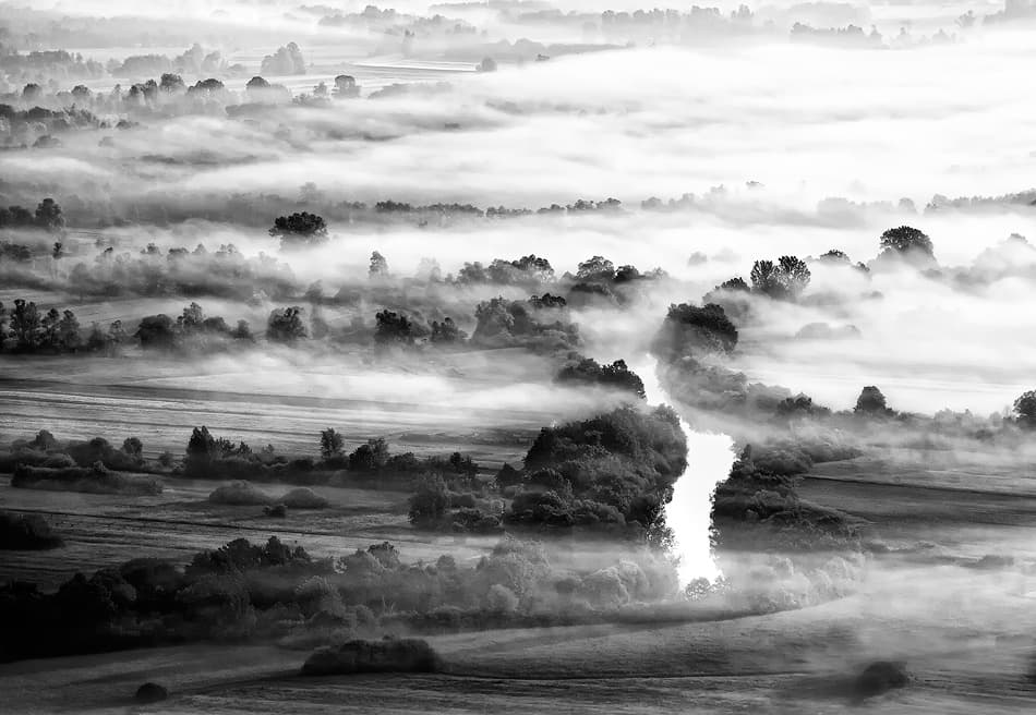 Misty Forest River by Ales Komovec — canvas wall art