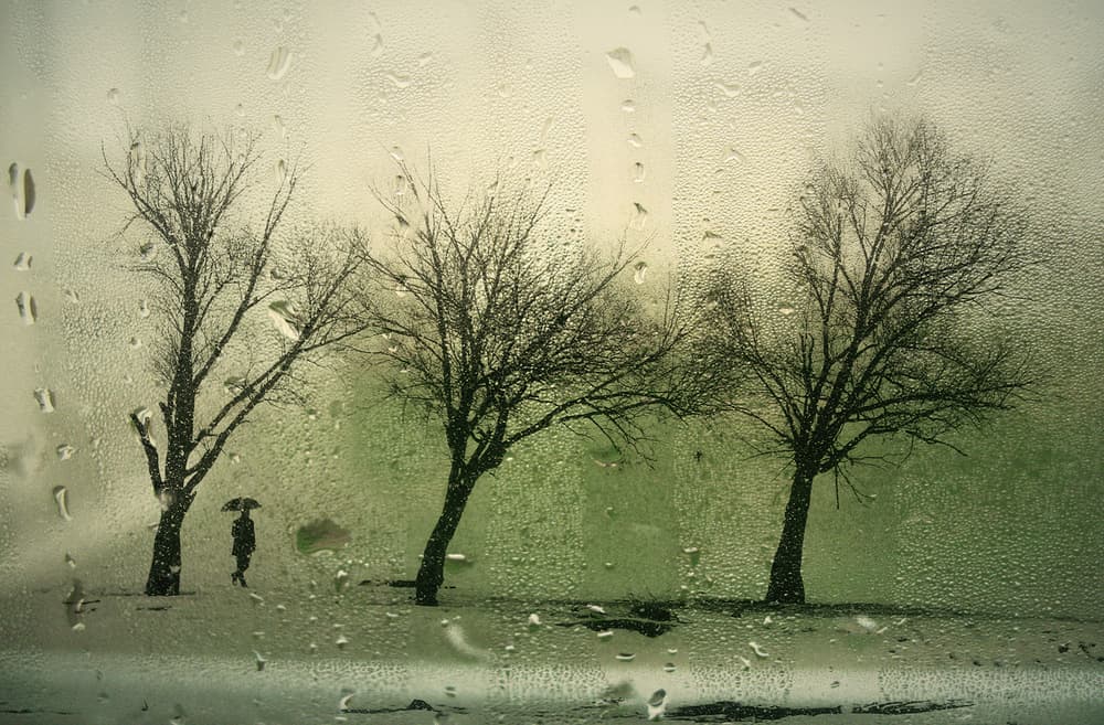 Rainy Day Solitude by Emine Basa — canvas wall art