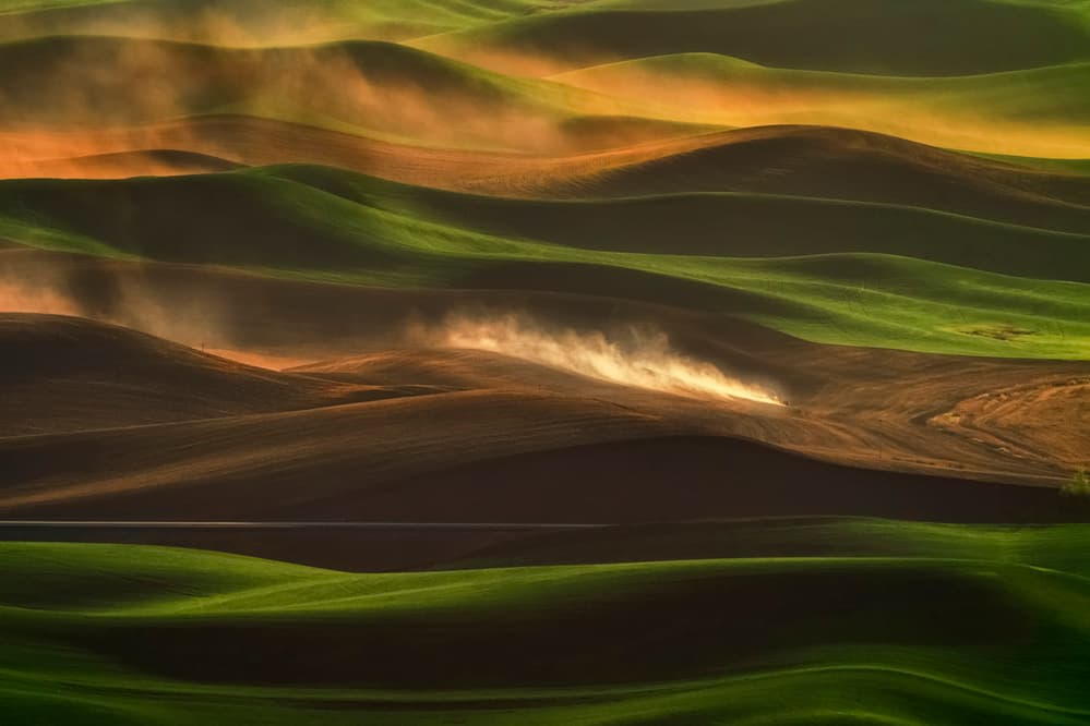 Fields in Golden Mist by Lydia Jacobs — canvas wall art