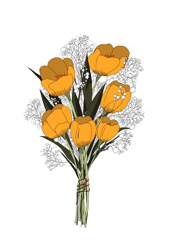 Vibrant Orange Tulips by Nicholas — canvas wall art