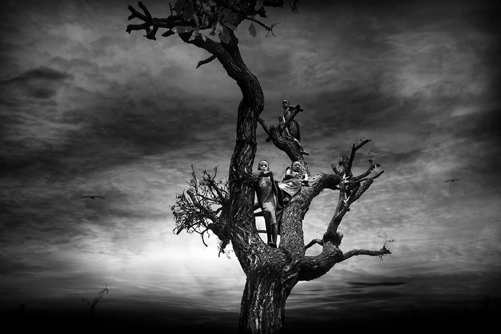 Figures in a Twisted Tree by Svetlin Yosifov — canvas wall art
