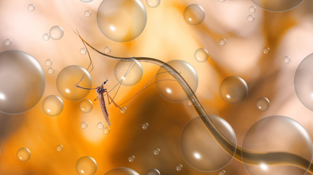 Golden Mosquito Bubbles by Thierry Dufour — canvas wall art
