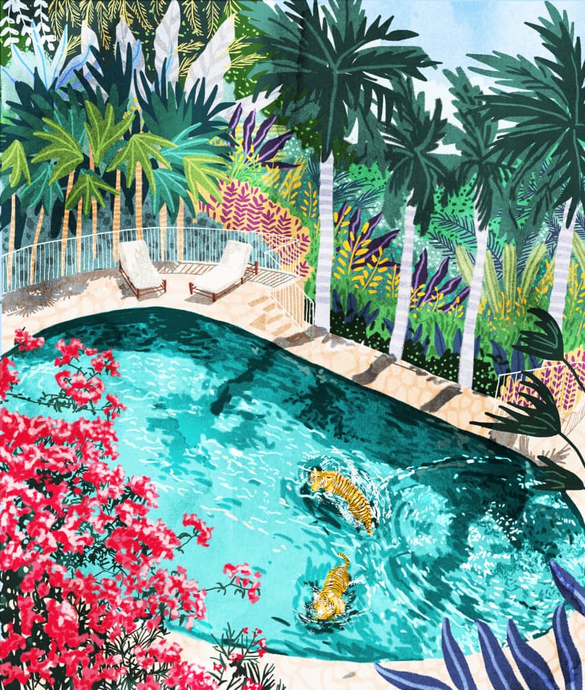 Tigers In Tropical Pool by Uma Gokhale — canvas wall art