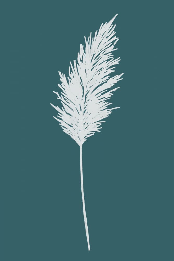 Elegant Pampas Plume by cartissi — canvas wall art