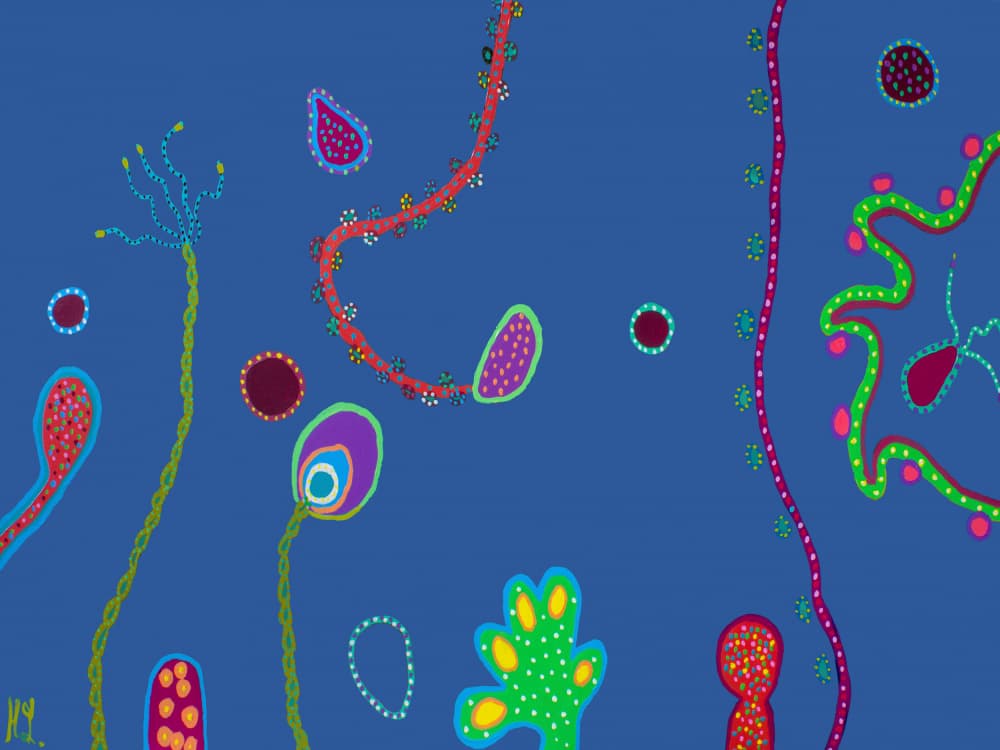 Vibrant Organic Shapes by Helen Joynson — canvas wall art