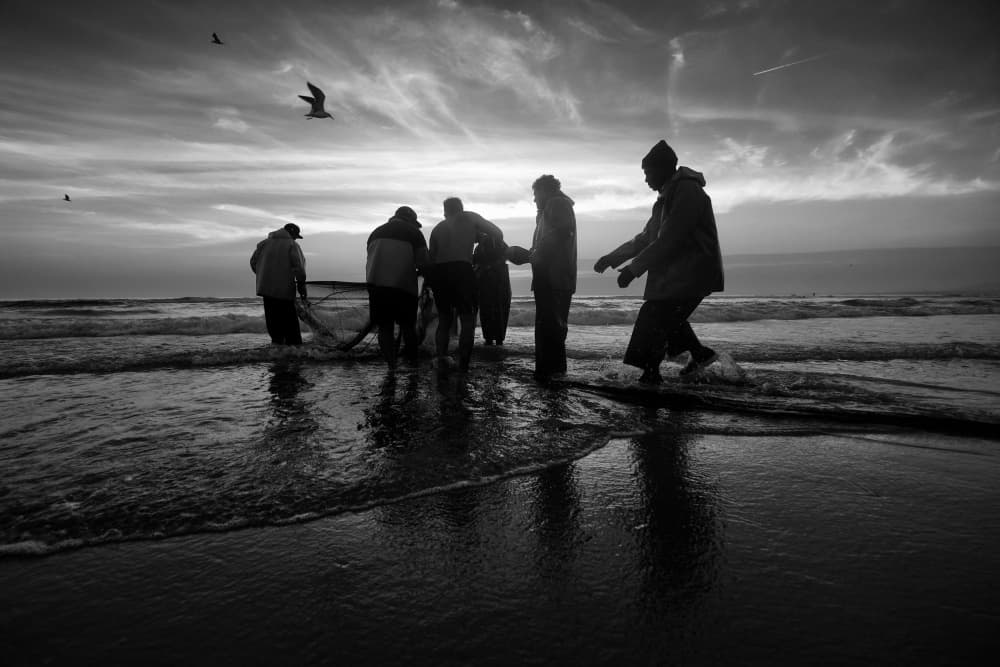 Coastal Fishing Silhouettes by Josefina Melo — canvas wall art
