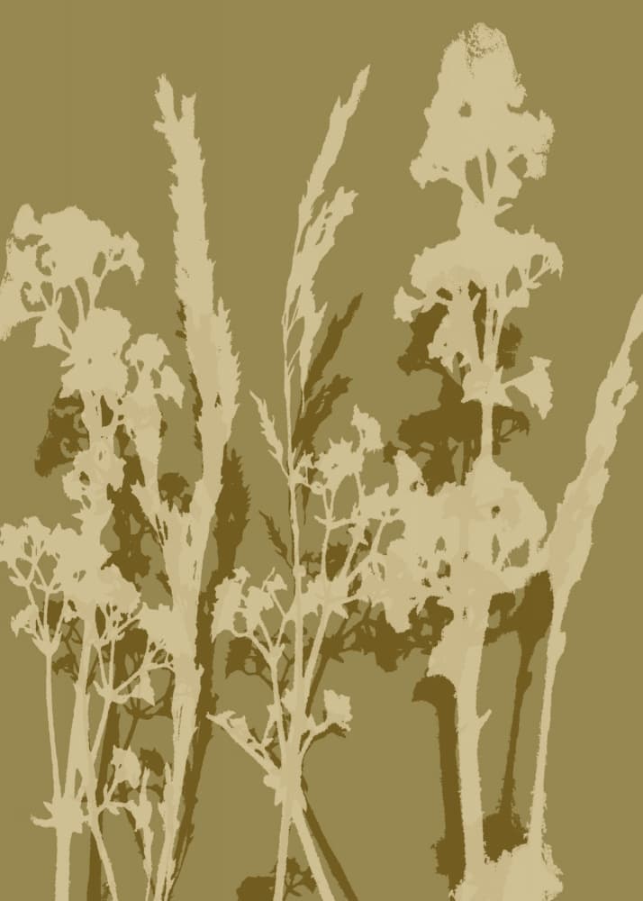 Earthy Botanical Silhouettes by Dina Dankers — canvas wall art