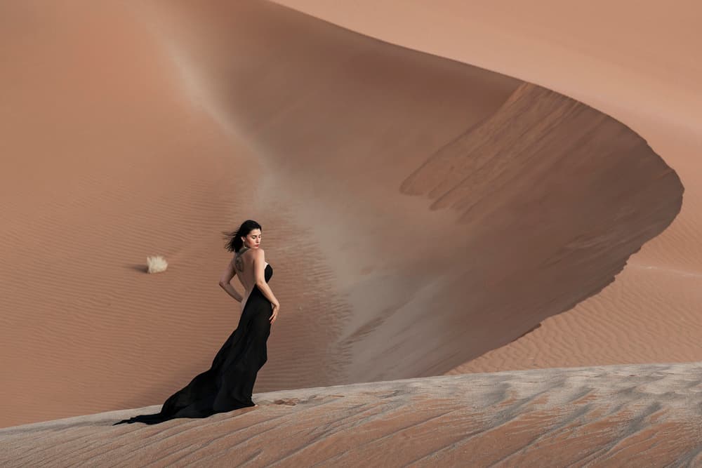 Desert Elegance by Goran Jovic — canvas wall art