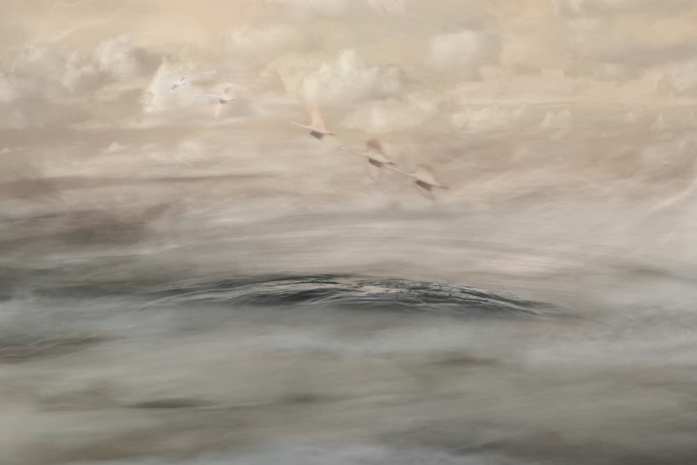 Silver Haze by Christina Sillen — canvas wall art