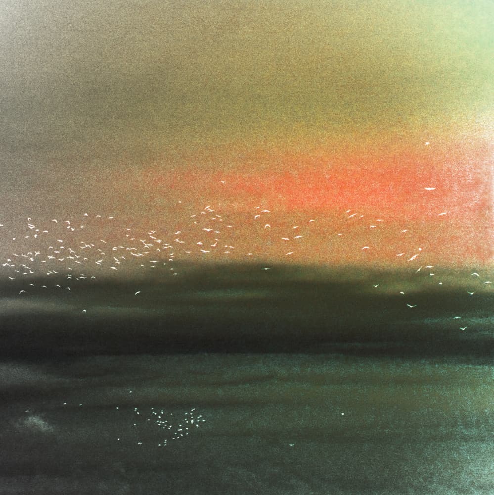 Ocean Birds Red Sky by Christina Sillen — canvas wall art