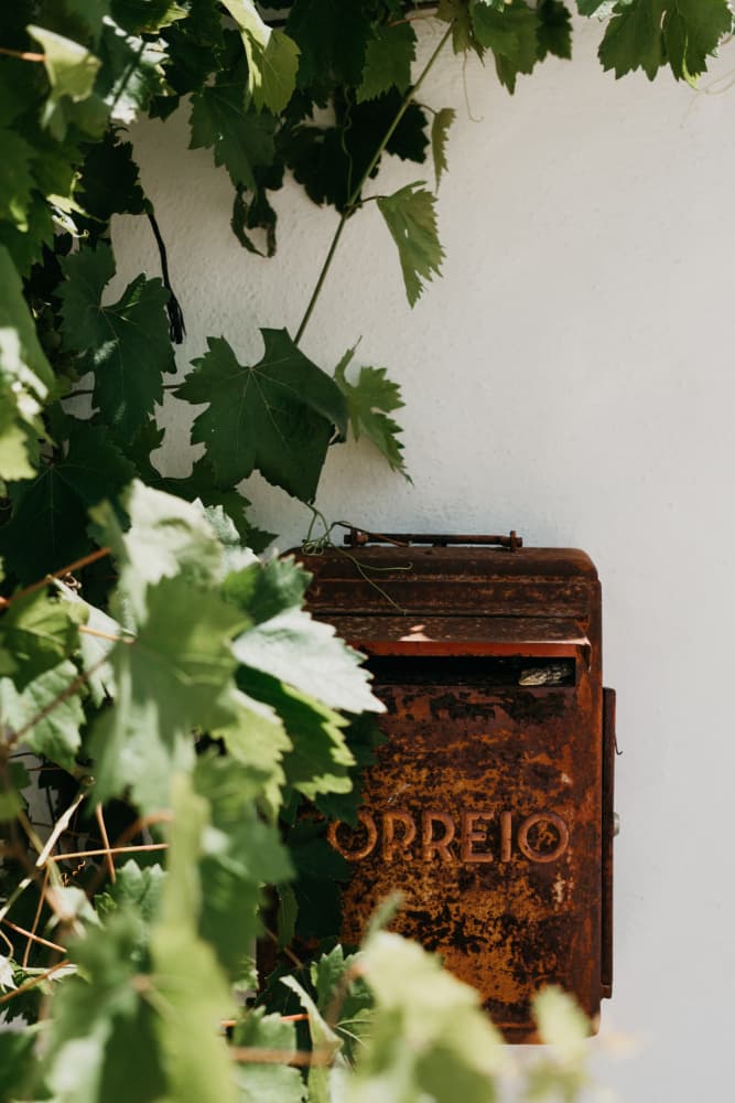 Rusted Mailbox Green Leaves by Aimee Giles — canvas wall art