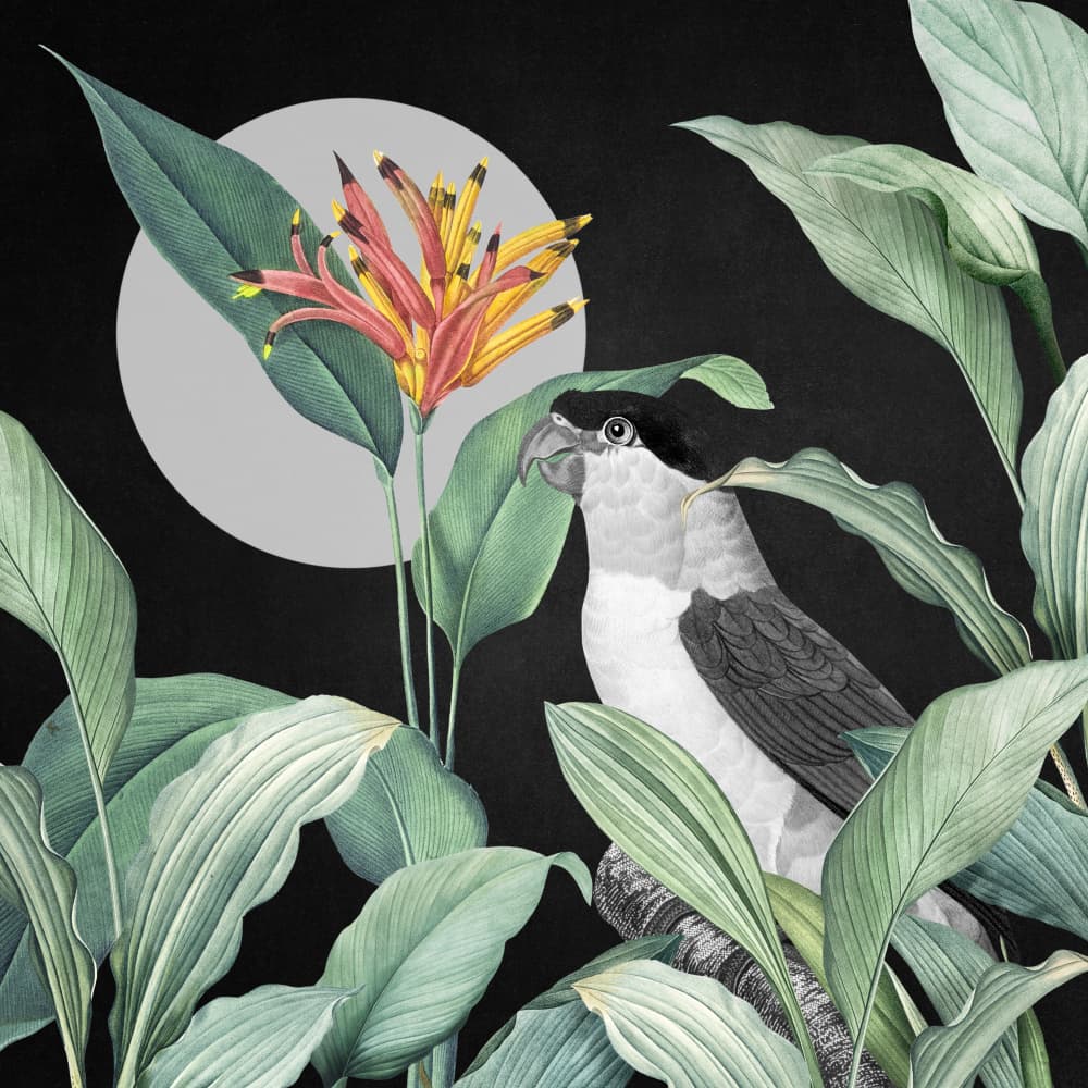 Moonlit Jungle Parrot by Marja van den Hurk — canvas wall art
