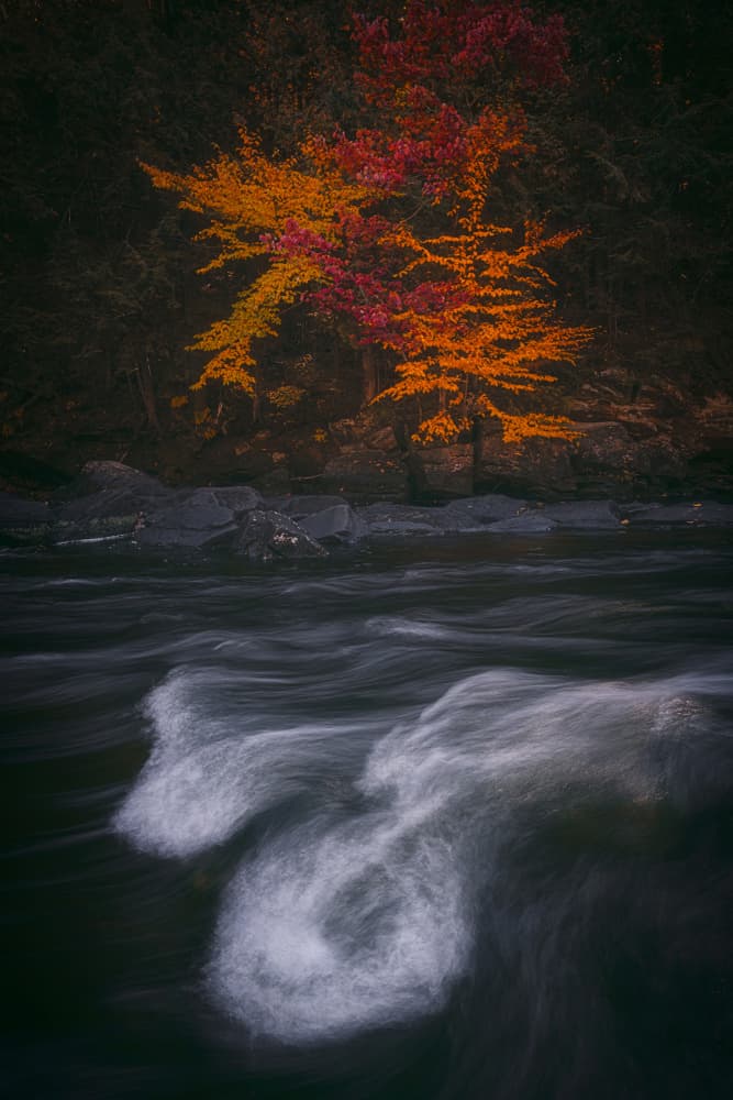 Flowing Autumn Colors by Lydia Jacobs — canvas wall art