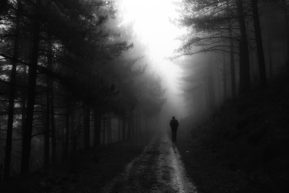 Man Walking Foggy Forest by Ali Ayer — canvas wall art