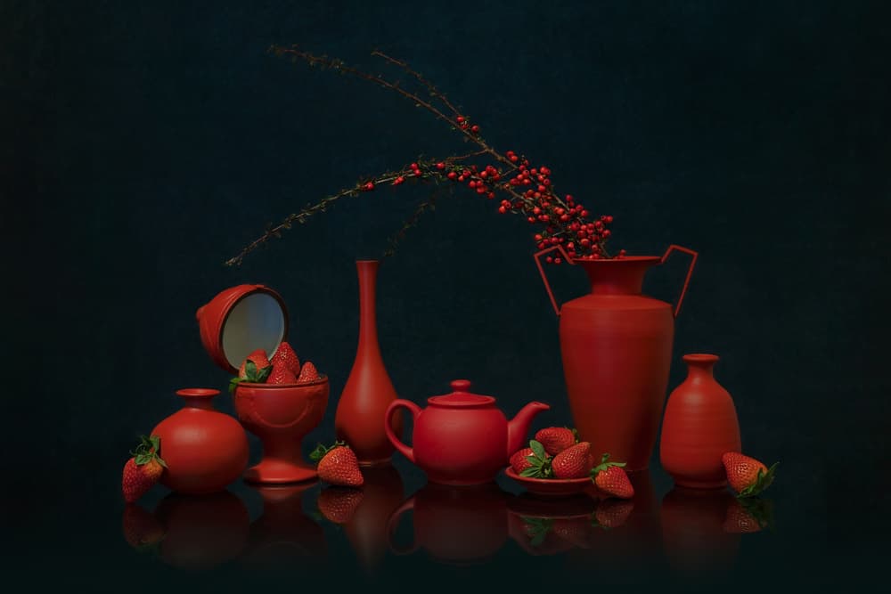Vivid Red Still Life by Lydia Jacobs — canvas wall art