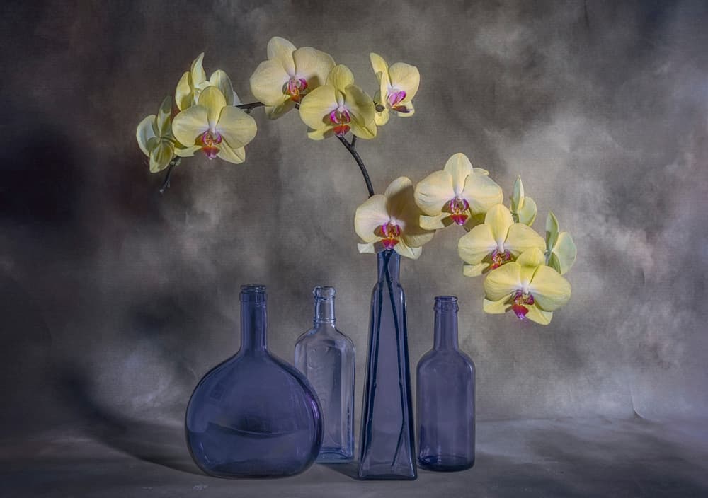 Yellow Orchids Blue Glass by Lydia Jacobs — canvas wall art