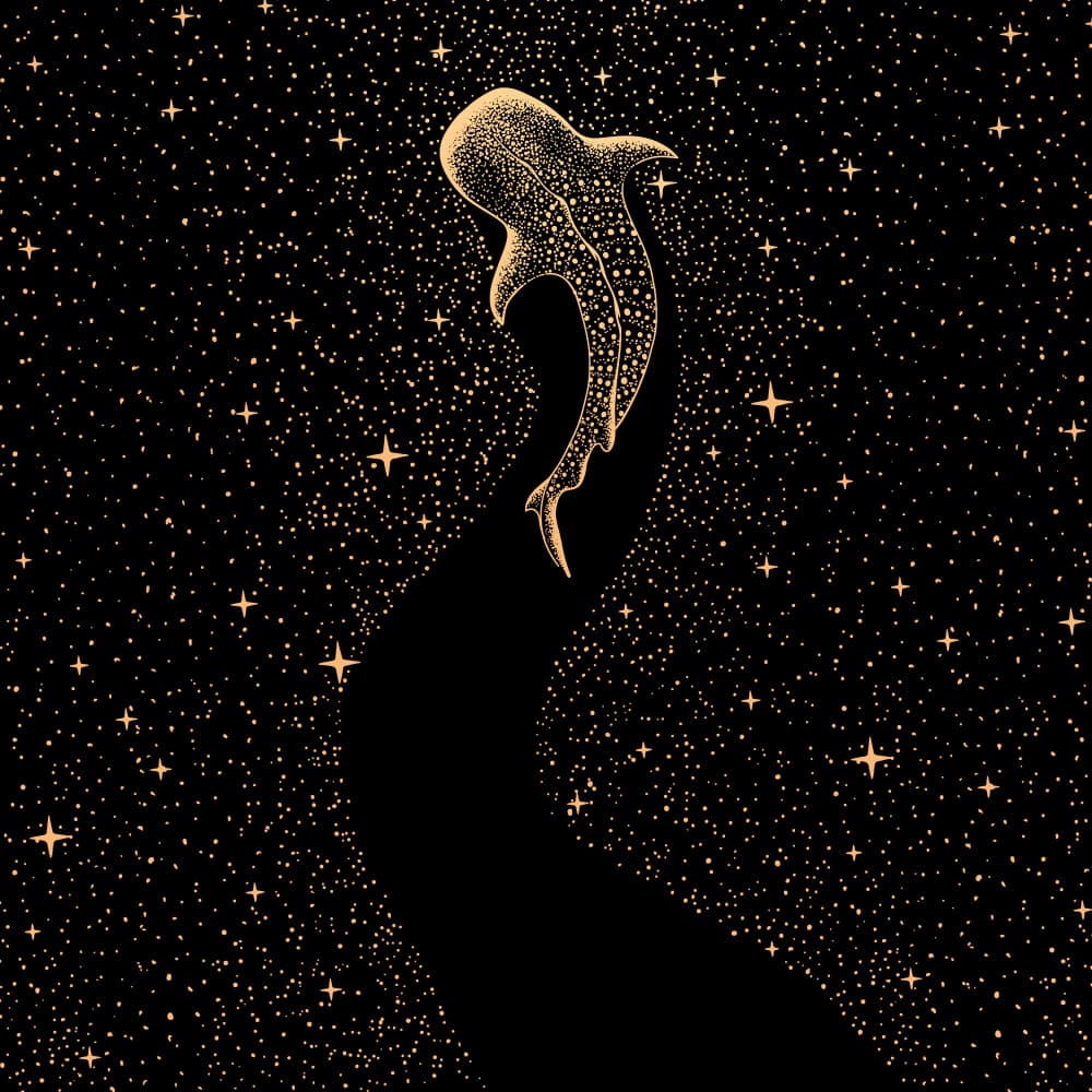 Cosmic Whale Shark by Alirıza ÇAKIR — canvas wall art