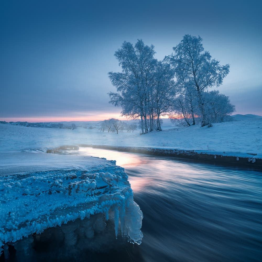 Frosty River Dawn by Bingo Z — canvas wall art