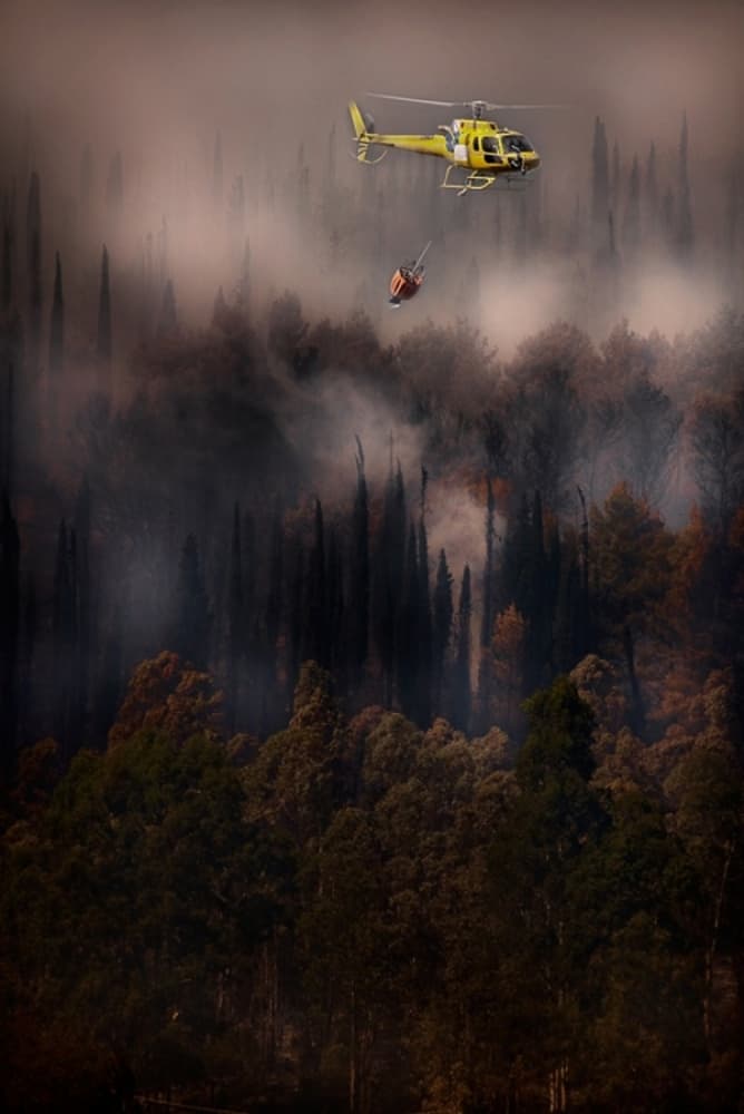 Helicopter Fights Forest Fire by Antonio Grambone — canvas wall art