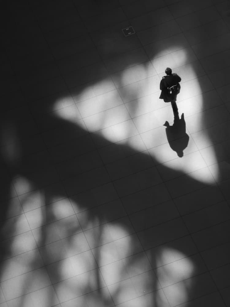 Solitary Light Walk by IKUMI FUKAZAWA — canvas wall art