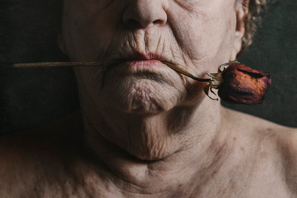 Aging Beauty Rose by Stephen Clough — canvas wall art