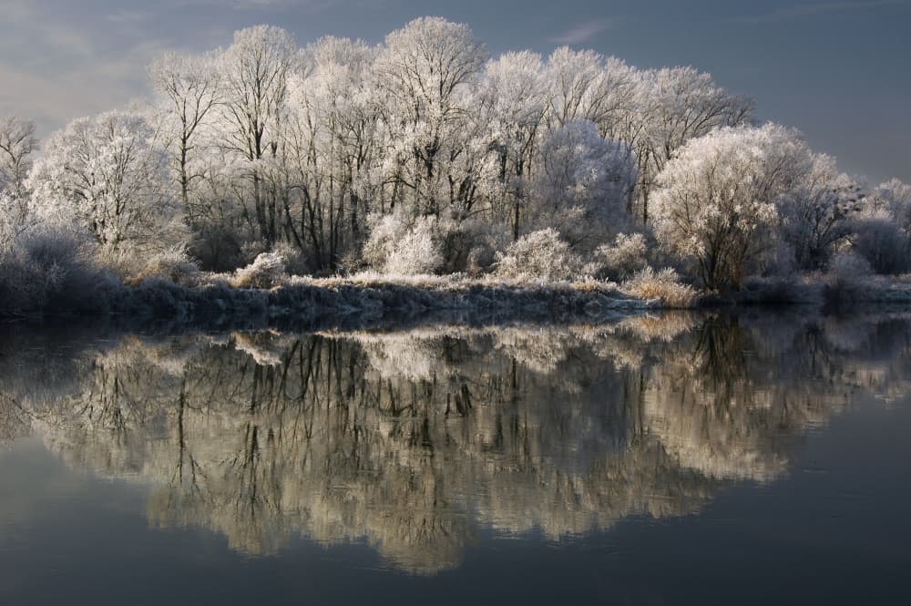 Frosty Winter Reflection by Jacek Stefan — canvas wall art
