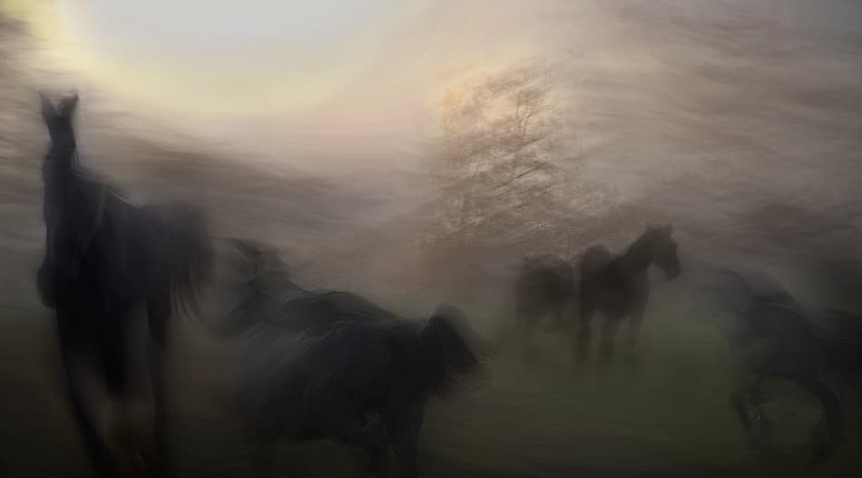 Misty Running Horses by Milan Malovrh — canvas wall art