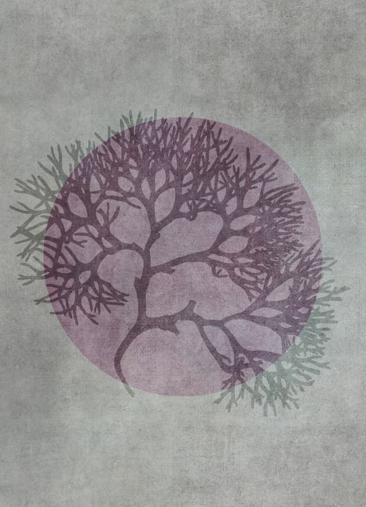 Purple Coral Circle by Andrea Haase — canvas wall art