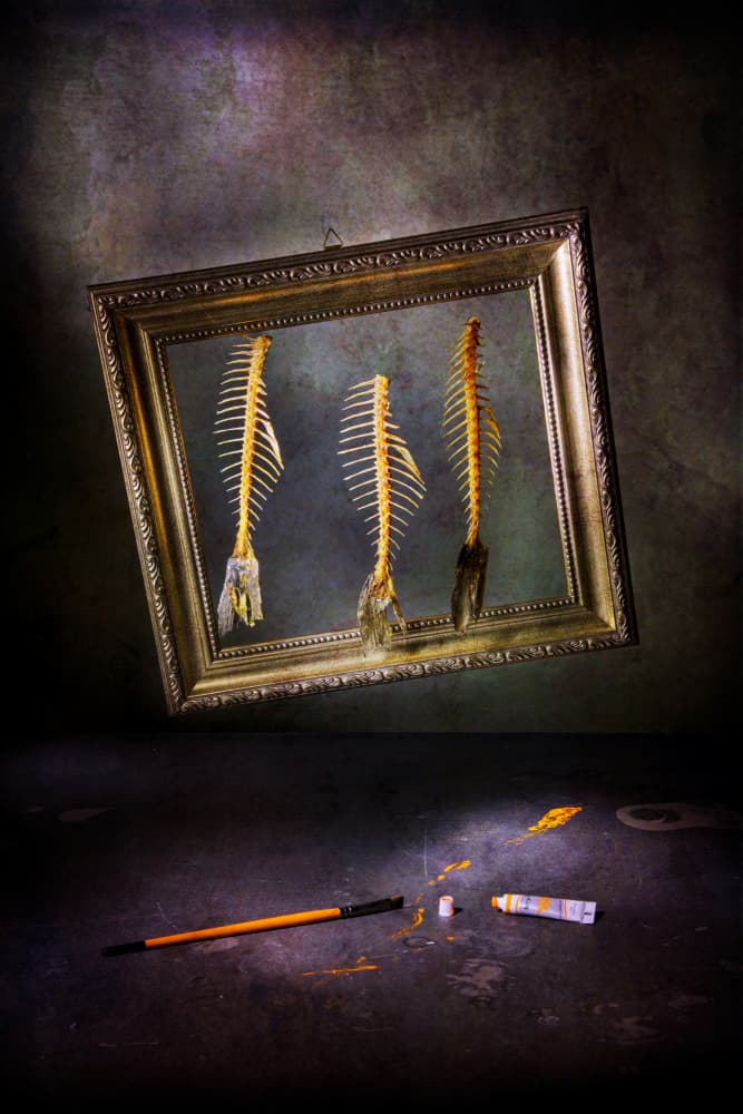 Creative Fishbone Still Life by Felice Angelino — canvas wall art