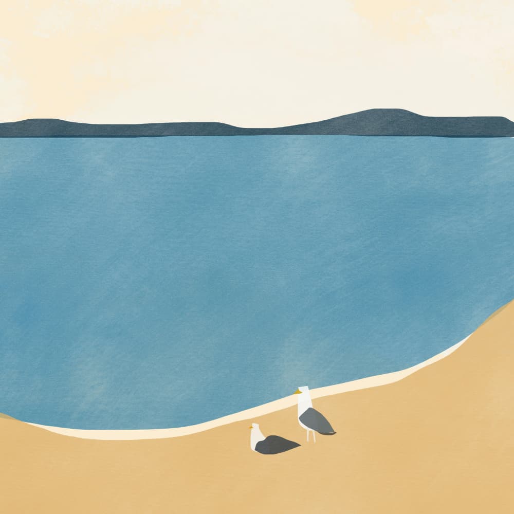Seagulls on the Beach by Little Dean — canvas wall art
