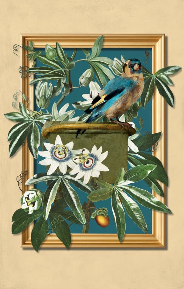 Goldfinch Passion Flowers by Marja van den Hurk — canvas wall art