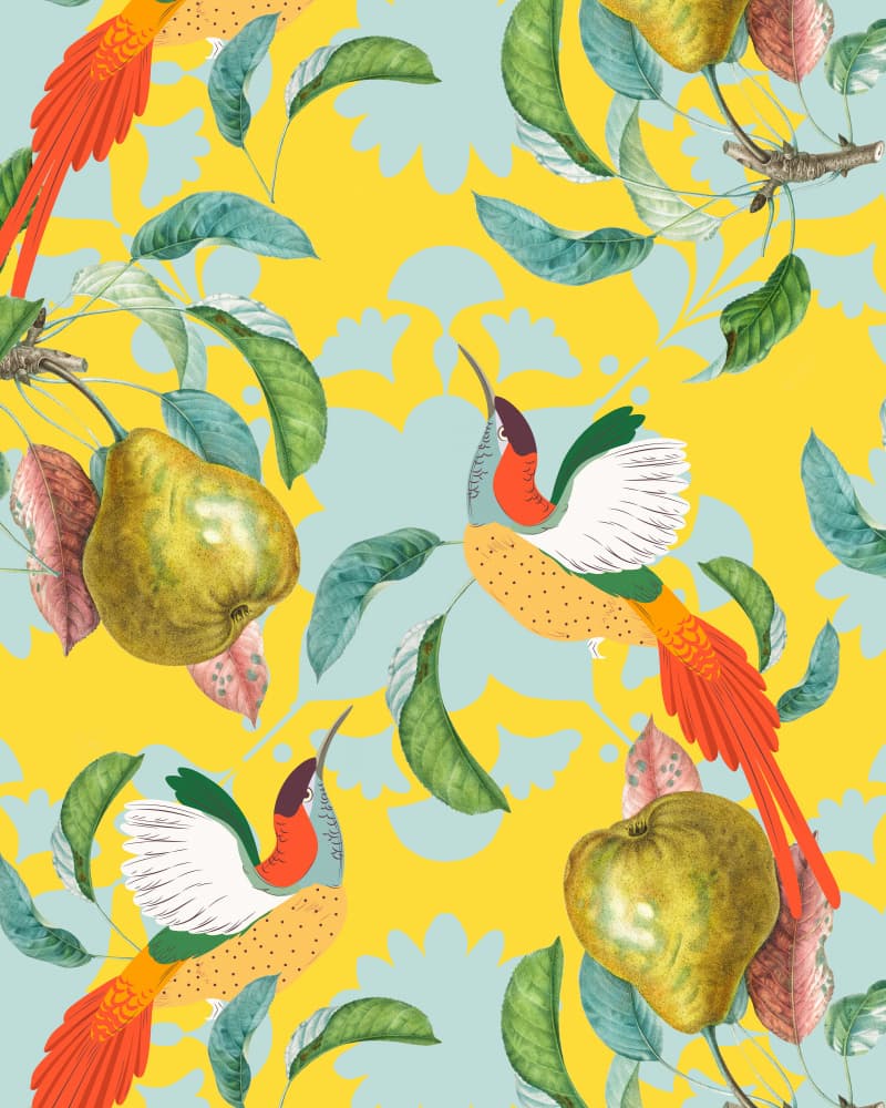 Tropical Pear Birds by Uma Gokhale — canvas wall art