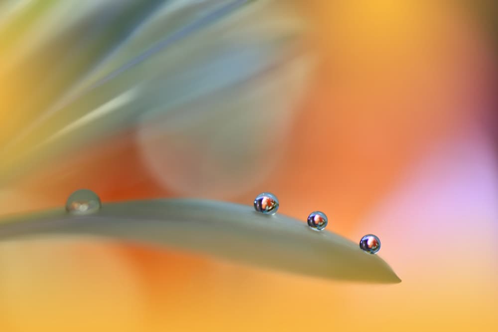 Vibrant Droplet Reflections by Juliana Nan — canvas wall art