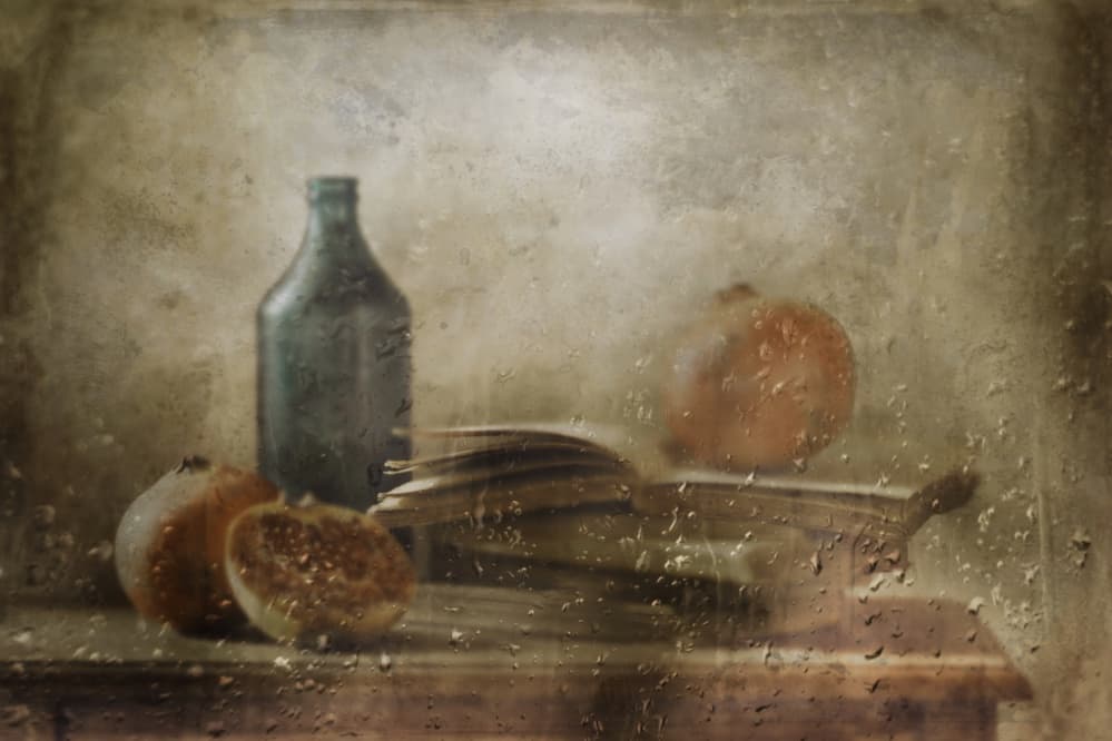 Moody Rainy Pomegranates by Delphine Devos — canvas wall art