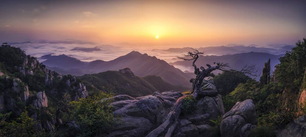 Golden Mountain Sunrise by Tiger Seo — canvas wall art