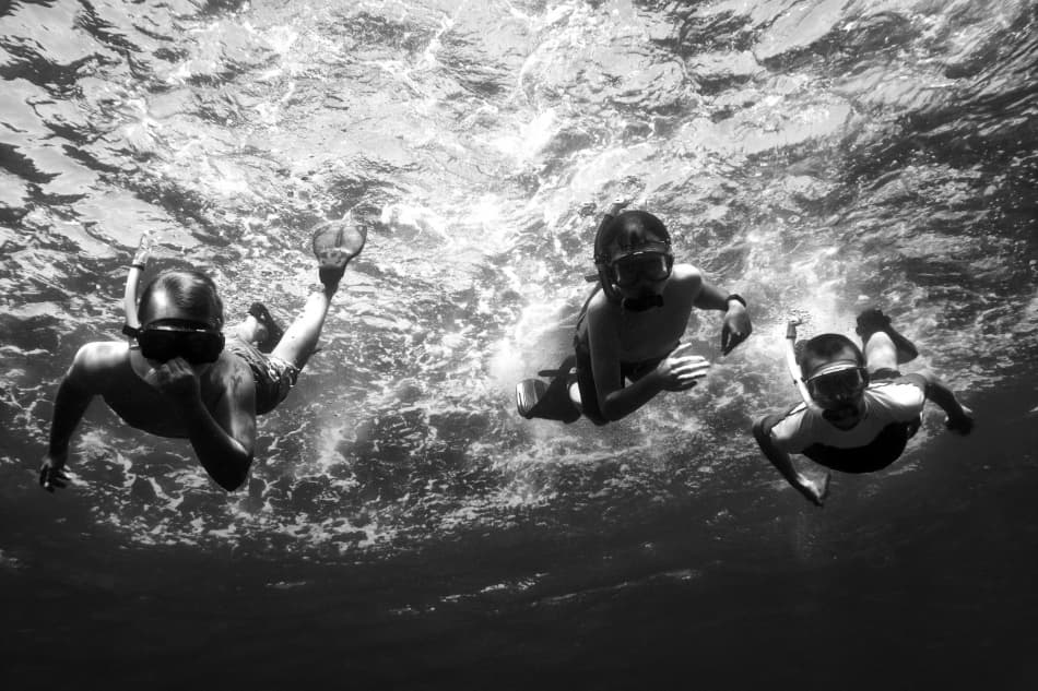 Three Snorkelers Underwater by Marcel Rebro — canvas wall art