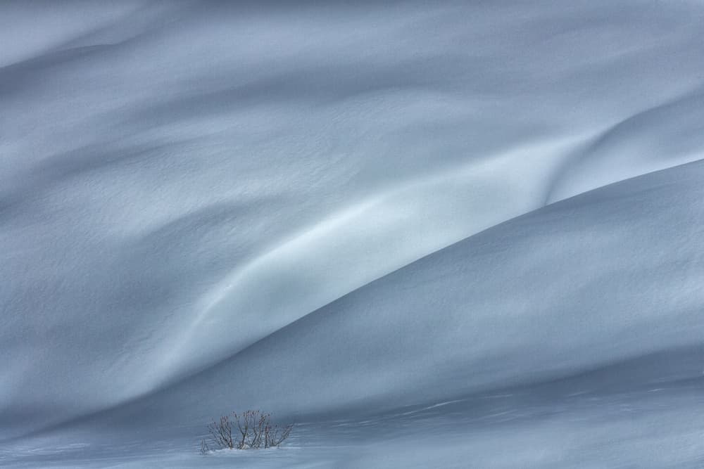 Winter's Gentle Curves by Uschi Hermann — canvas wall art