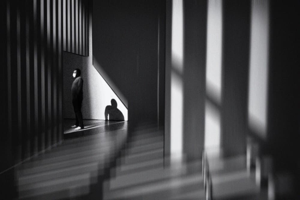 Solitary Shadows And Light by Florentinus Joseph — canvas wall art