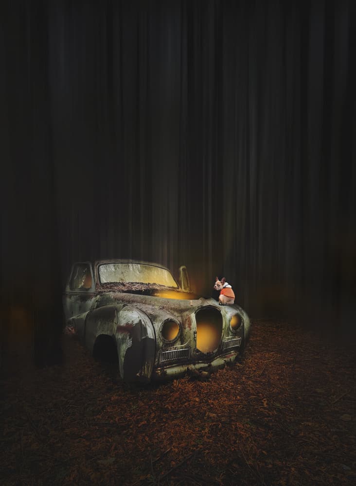 Mysterious Car And Cat by Larry Deng APA — canvas wall art