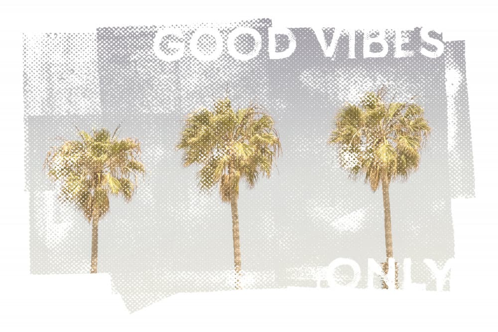 Good Vibes Palm Trees by Melanie Viola — canvas wall art